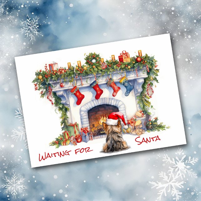 Yorkie Dog Gewartet für den Weihnachtsfeuer (Von Creator hochgeladen)