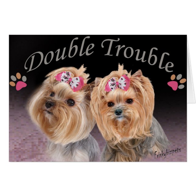 Yorkie Double Trouble Cards (Vorderseite (Horizontal))