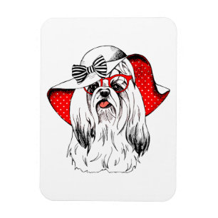 Yorkie Fashion Shoot Magnet