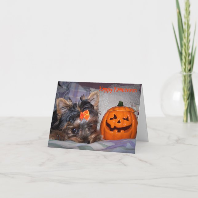 Yorkie Halloween Notecard Karte (Vorderseite)