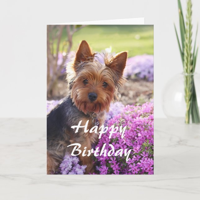 Yorkie Happy Birthday Karte (Vorderseite)