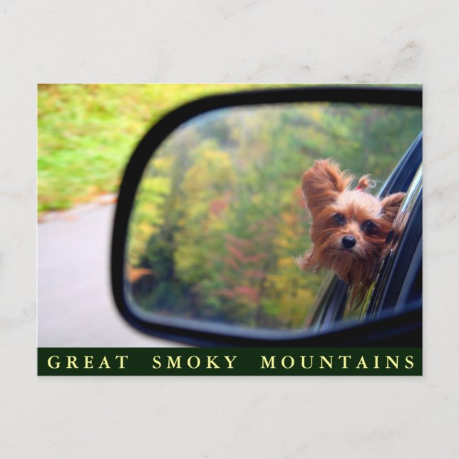 Yorkie Hund - Herbstreise - Große, rauchige Berge Postkarte (Vorderseite)