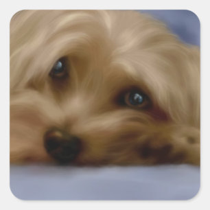 Yorkie Hundeaufkleber Quadratischer Aufkleber