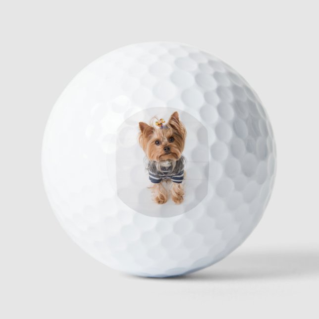 Yorkie-in-Pullover Golfball (Vorderseite)