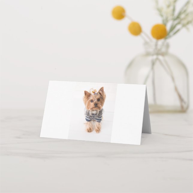 Yorkie-in-Pullover Platzkarte (Vorderseite)