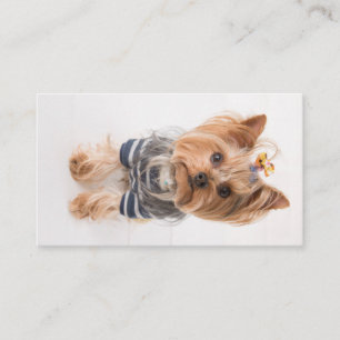 Yorkie-in-Pullover Visitenkarte