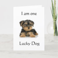 "YORKIE IST EIN GLÜCK HUND" GEBURTSTAG WISHER