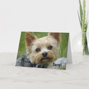 Yorkie Karte
