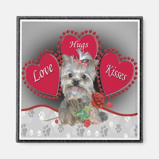 Yorkie Liebe Hug Kisses Magnet (Vorne)