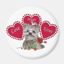 Yorkie Liebe Hug Kisses Magnet
