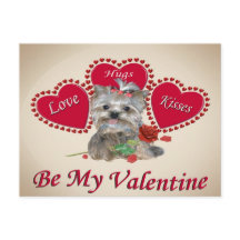 Yorkie Liebe Hugs und Kisses