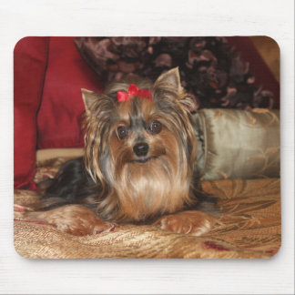 Yorkie Mausunterlage Mousepad