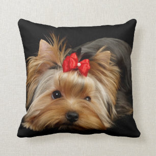 Yorkie mit rotem Bogenkissen Kissen