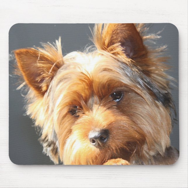 Yorkie Mousepad (Vorne)