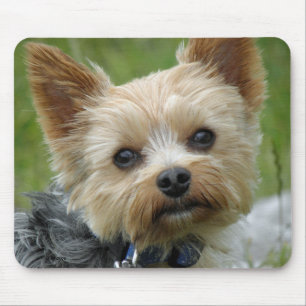 Yorkie Mousepad