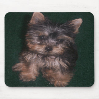 Yorkie Mousepad