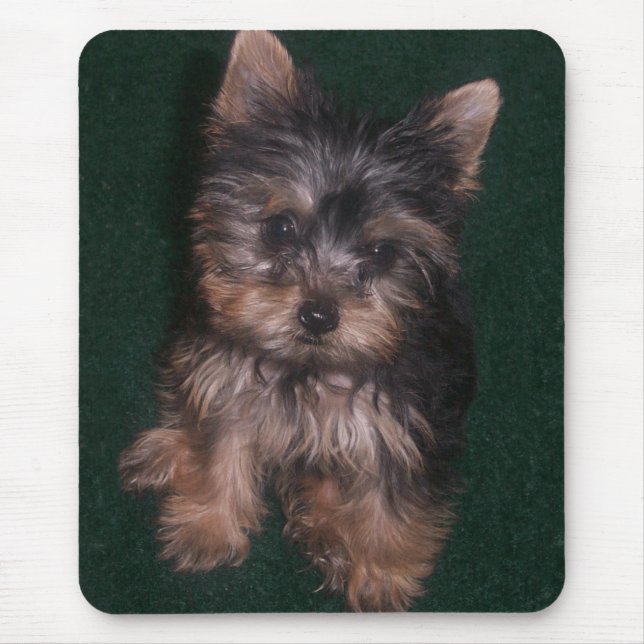 Yorkie Mousepad (Vorne)