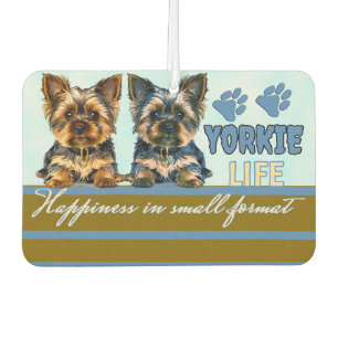 Yorkie niedlich autolufterfrischer