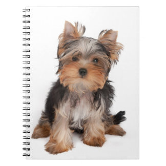 Yorkie Notizblock