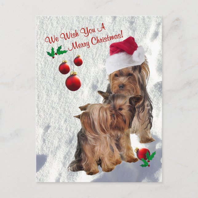 Yorkie Nous Vous Souhaitons Une Carte Postale Joye (Devant)