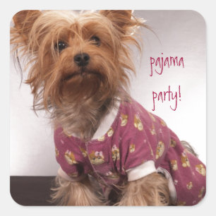 Yorkie Pajama Party Quadratischer Aufkleber