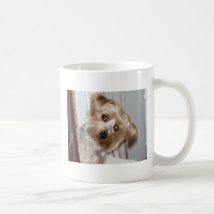 Yorkie Peeking um die Ecke Kaffeetasse