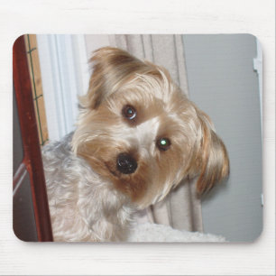 Yorkie Peeking um die Ecke Mousepad