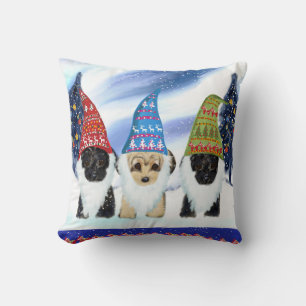 YORKIE POO KISSEN