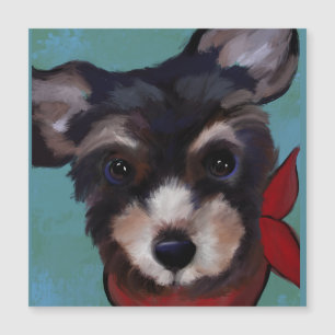 Yorkie Poo Magnetkarte