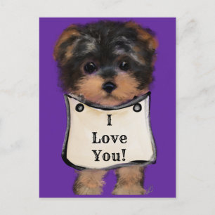Yorkie Poo Postkarte