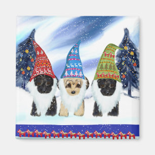 Yorkie Poo Schweden Magnet