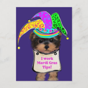 Yorkie Poo y Postkarte