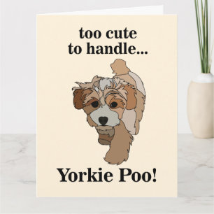 Yorkie Poo Yorkipoo Süßer Hund Karte