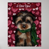 YORKIE