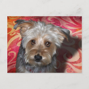 Yorkie Postkarte