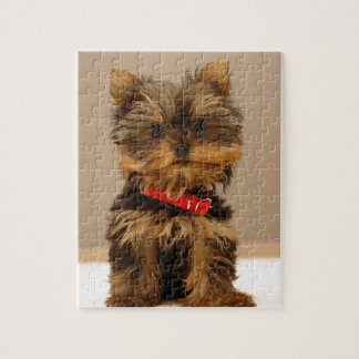 Yorkie Produkte