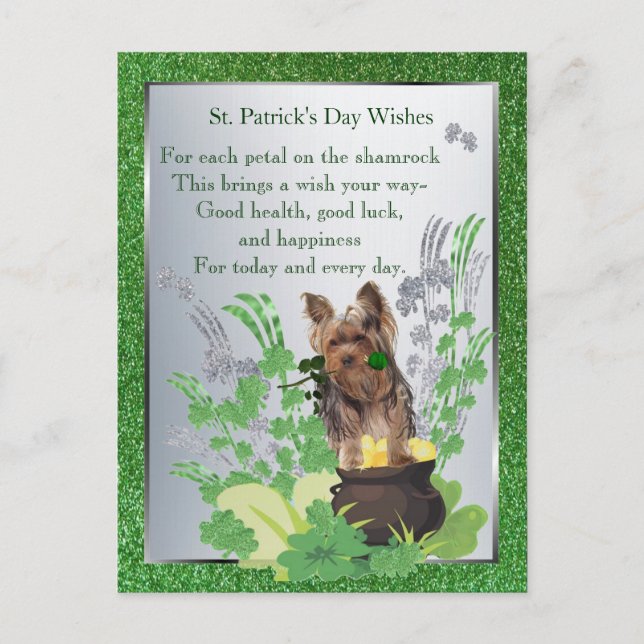 Yorkie Puppy Health Luck Glück St Patty wünscht Postkarte (Vorderseite)
