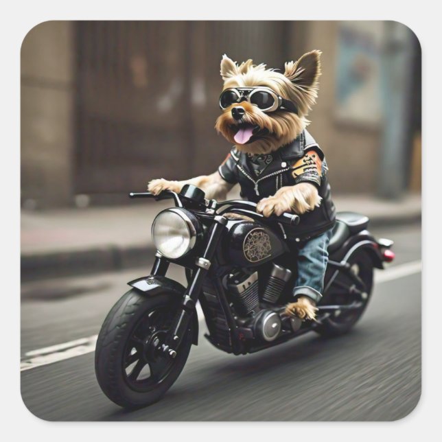 Yorkie Riding Motorradaufkleber Quadratischer Aufkleber (Vorderseite)