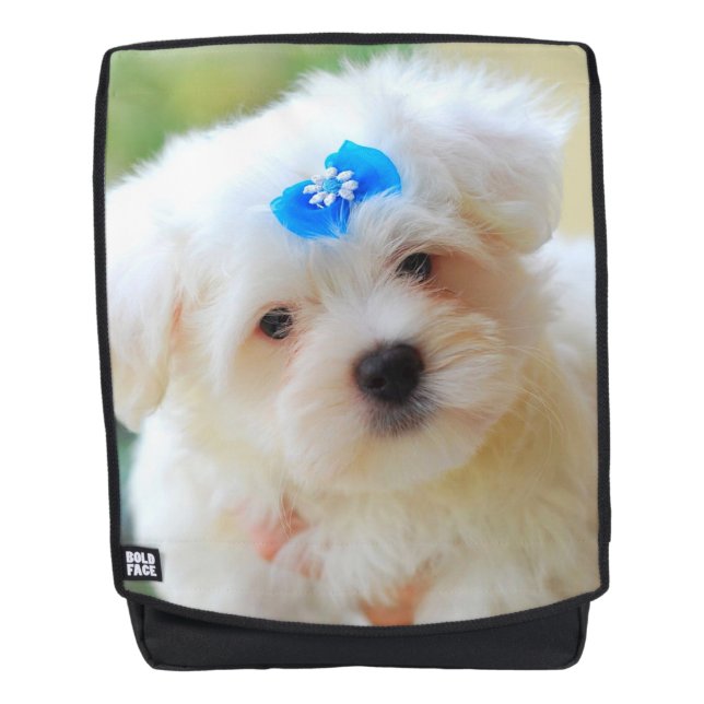 Yorkie Rucksack (Vorderseite)
