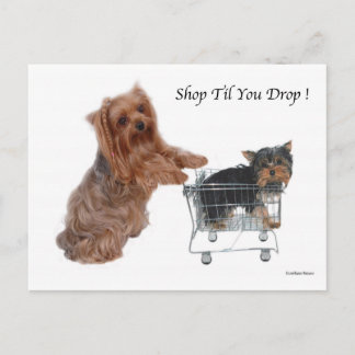 Yorkie Shop - Sie fallen Postkarte
