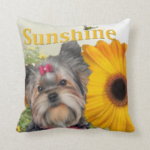 Yorkie Sonnenblumen und Hummel-Bienen durch