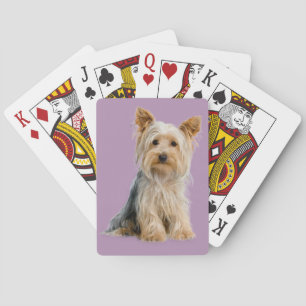 Yorkie Spielkarten