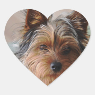 Yorkie Terrier Aufkleber