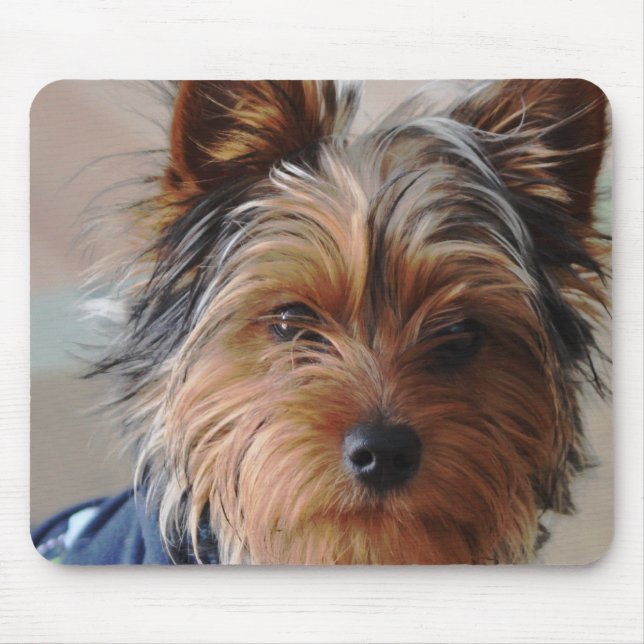 Yorkie Terrier Mausunterlage Mousepad (Vorne)