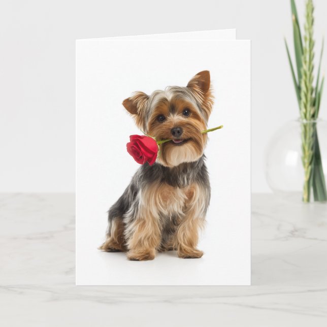 Yorkie Valentine – Tiny Dog, Big Love Karte (Vorderseite)