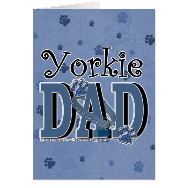 Yorkie VATER (Vorne)