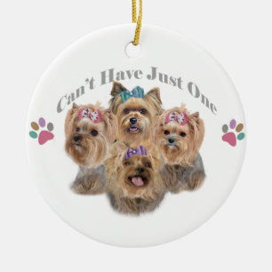 Yorkie vous ne pouvez pas avoir juste un ornement