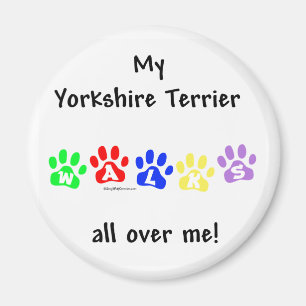 Yorkie Walks überall - Magnet