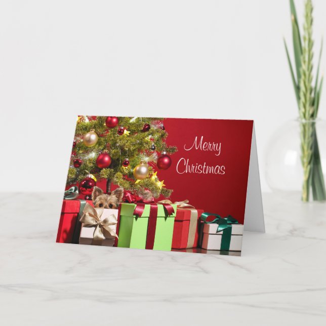 Yorkie Weihnachten (Vorderseite)