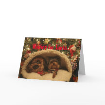 Yorkie Weihnachten